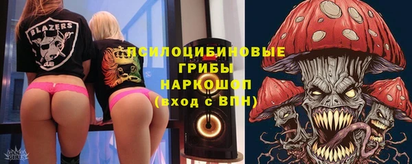 тгк Володарск