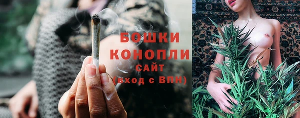 тгк Володарск