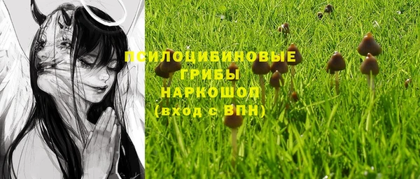 тгк Володарск