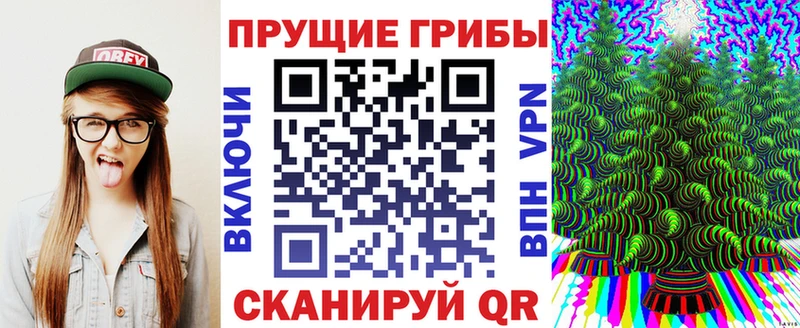 Купить где  Карабаш  Псилоцибиновые грибы MAGIC MUSHROOMS 